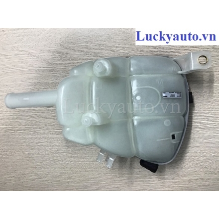 Bình nước phụ xe Mercedes GL350 4Matic đời 2009_ 1645000049_ 164 500 00 49